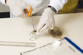 hair analysis drug